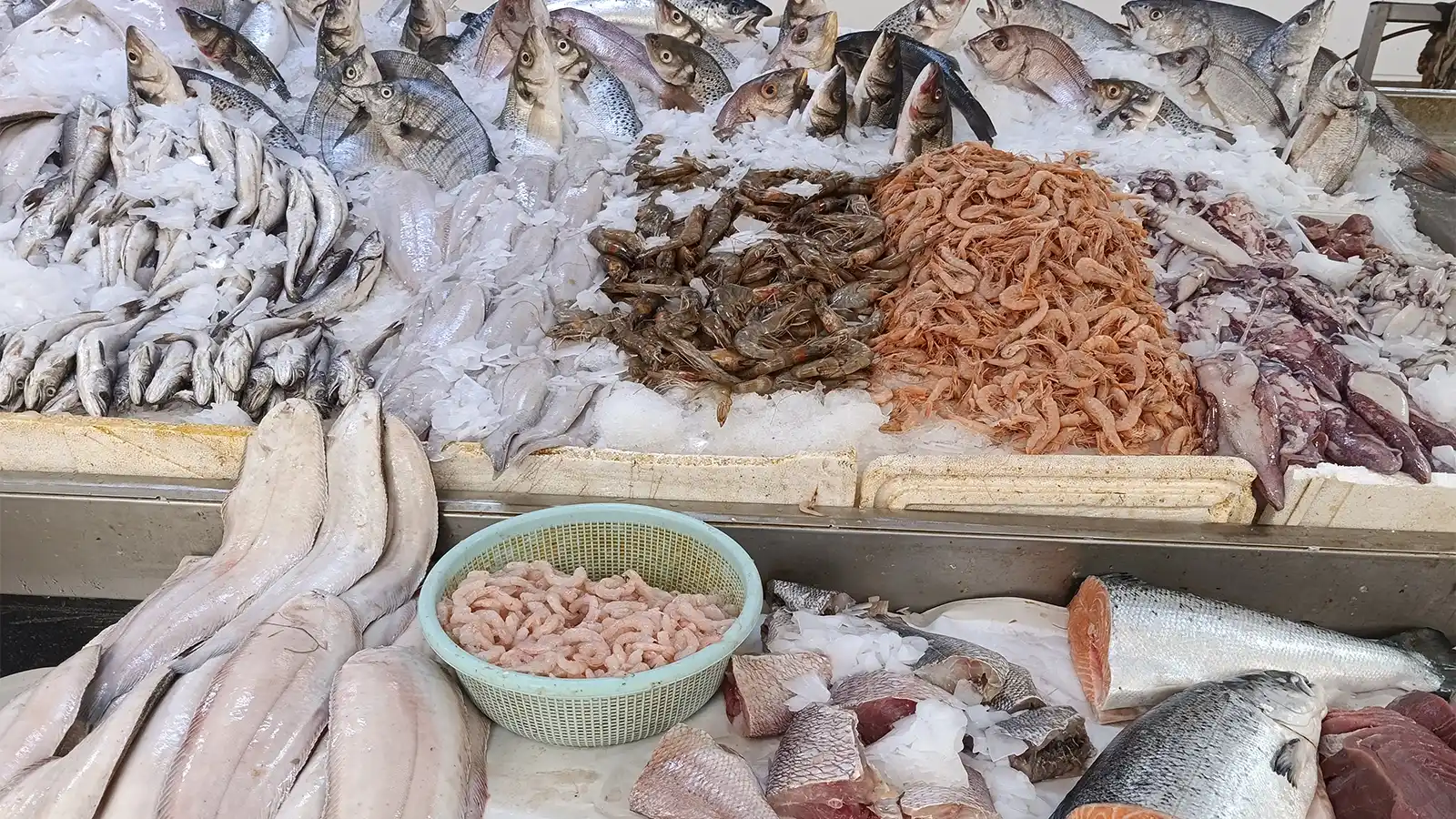 Rabat food tour at a fresh seafood market in the old medina